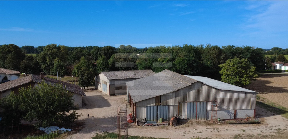vente Propriété agricole Negrepelisse - Photo 6