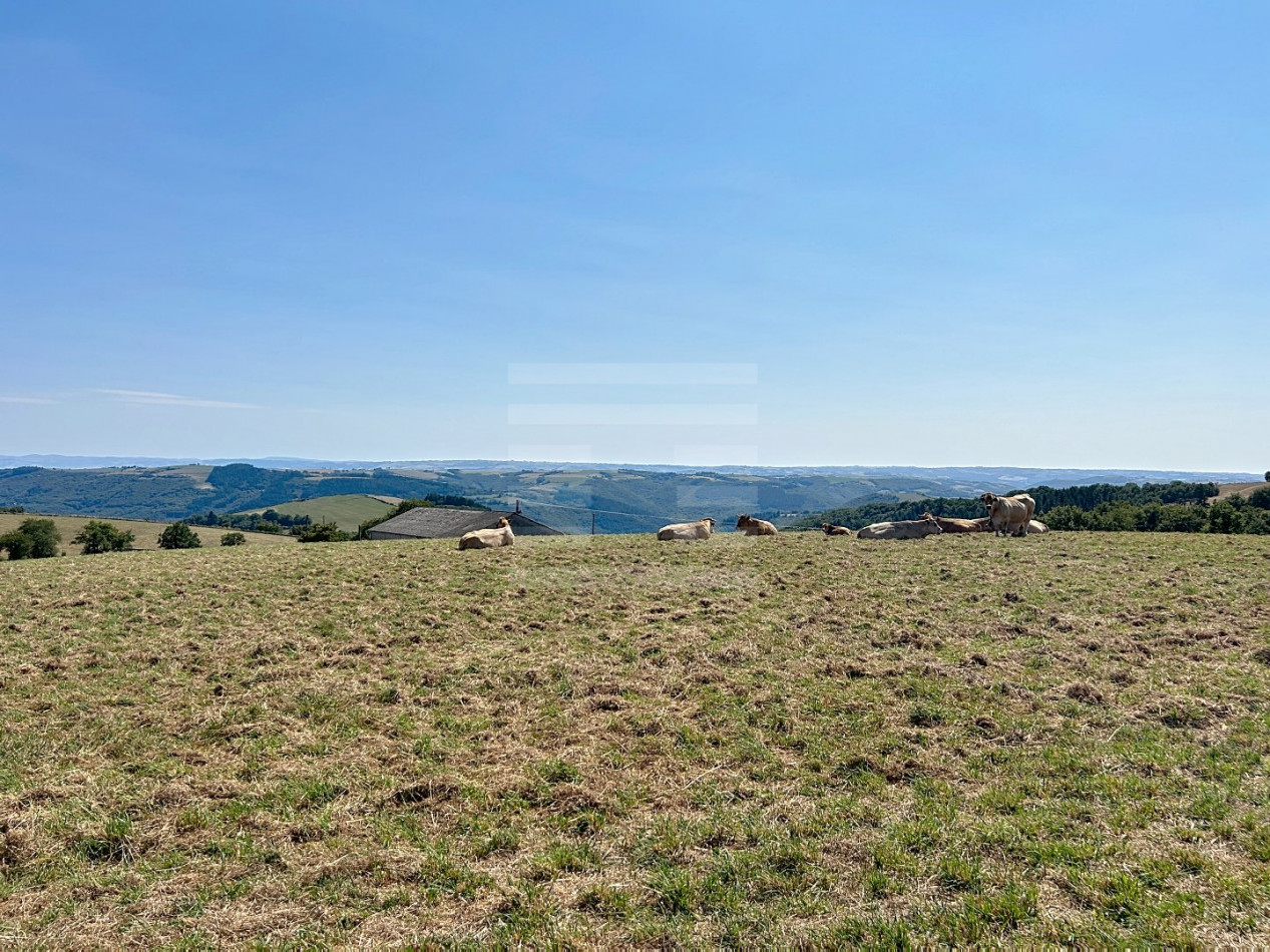à vendre Corps de ferme Requista - Photo 17