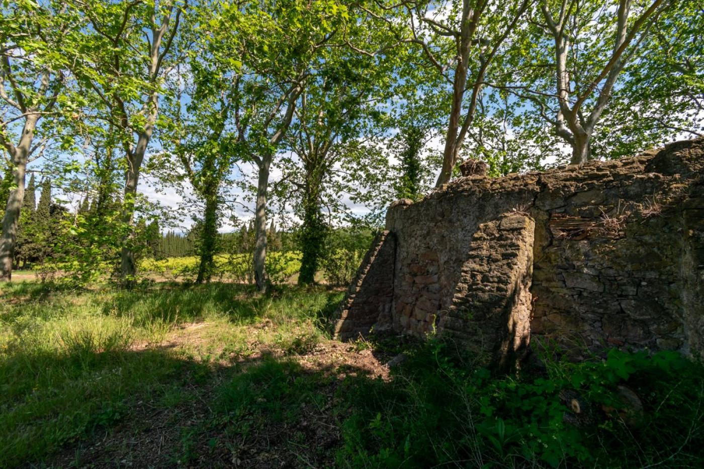 à vendre Domaine Douzens - Photo 12