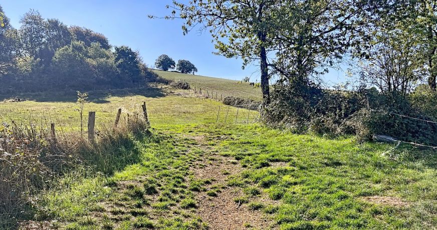 vente Ovins / caprins Belmont Sur Rance