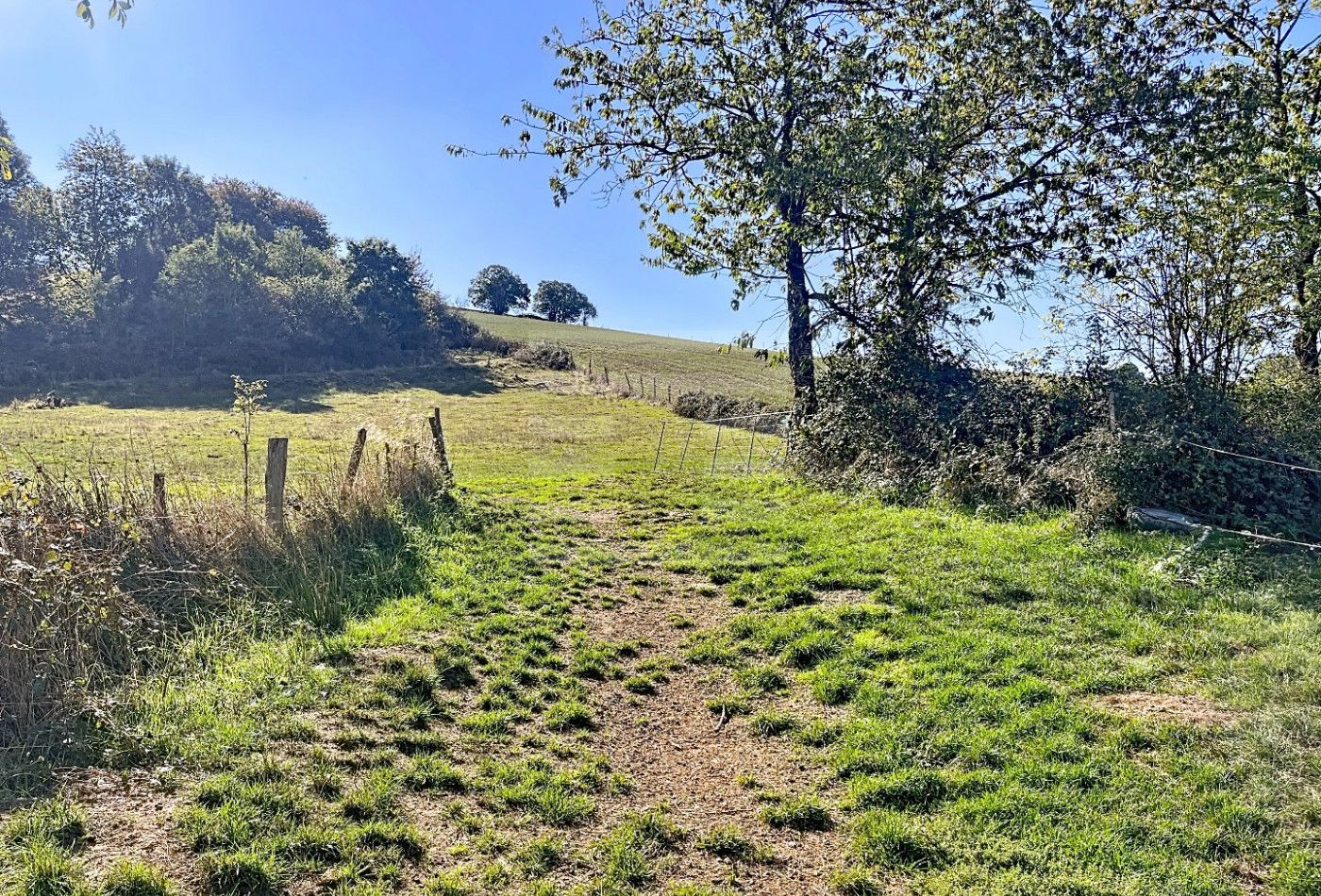 vente Ovins / caprins Belmont Sur Rance - Photo 10