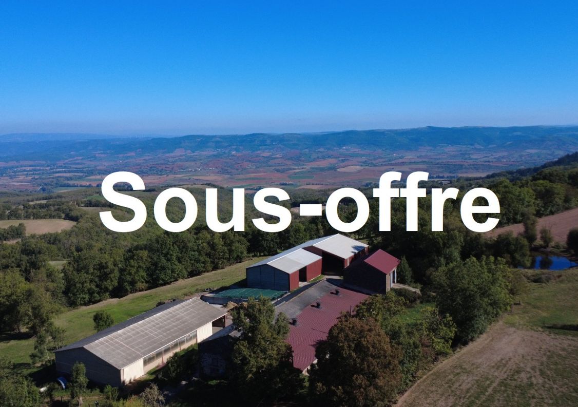 à vendre Ovins / caprins Belmont Sur Rance