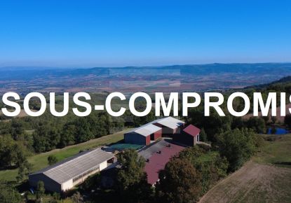 vente Ovins / caprins Belmont Sur Rance