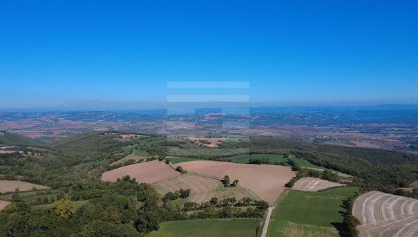 for sale Ovins / caprins Belmont Sur Rance - Photo 2