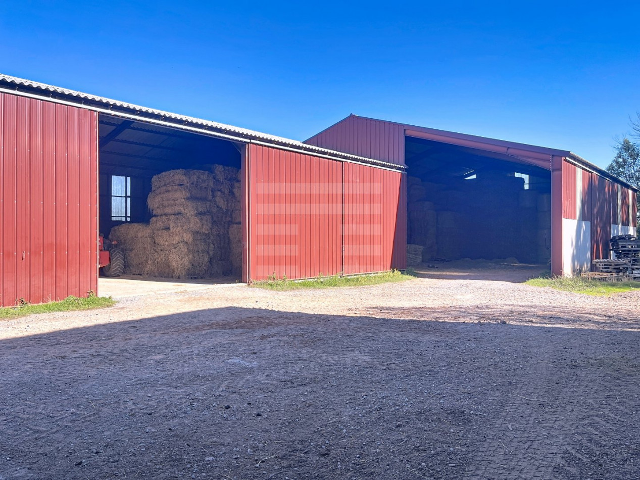 for sale Ovins / caprins Belmont Sur Rance - Photo 3