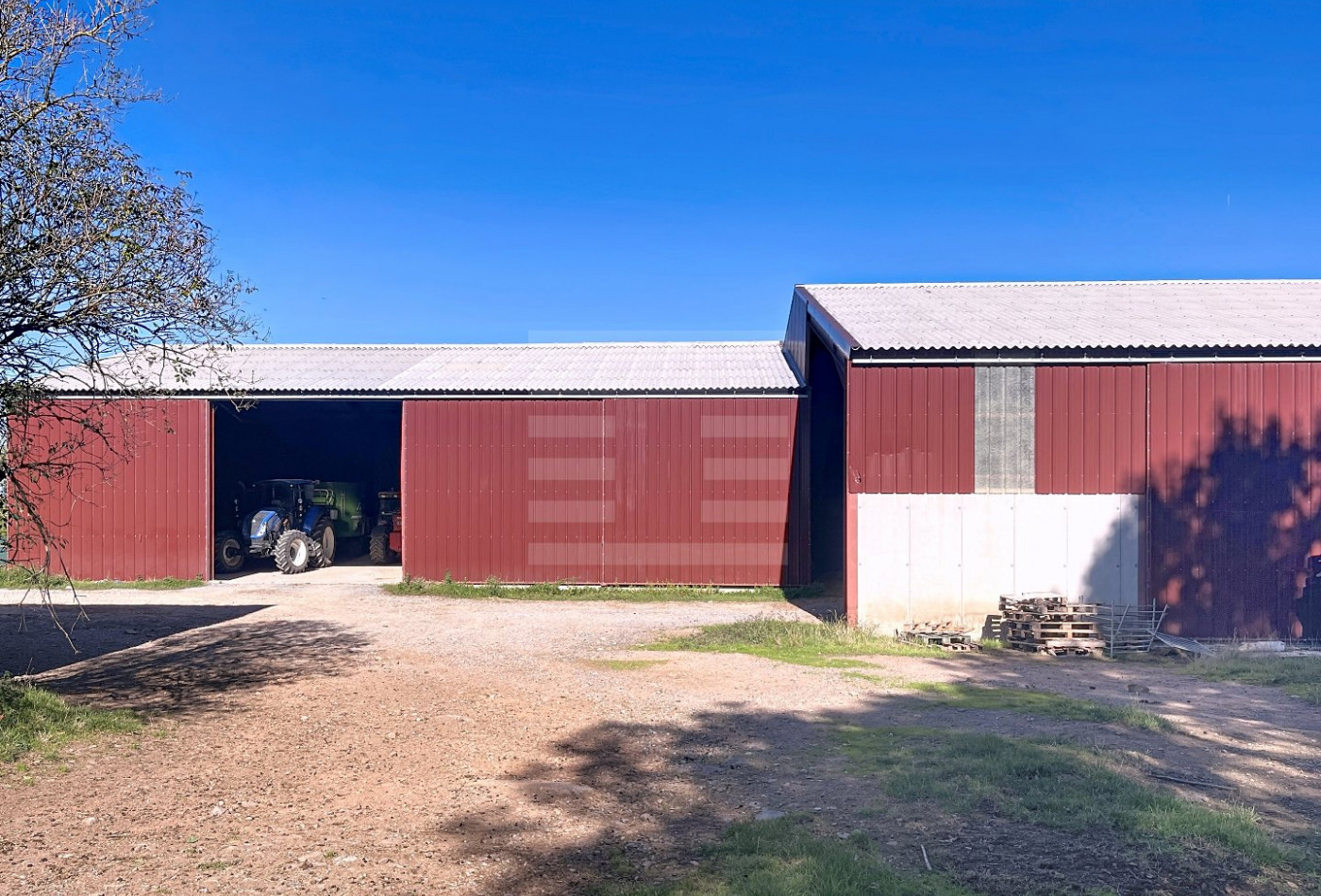 vente Ovins / caprins Belmont Sur Rance - Photo 7