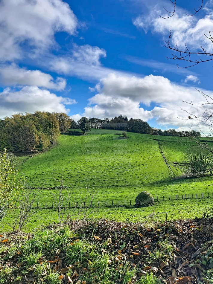 à vendre Propriété agricole Saint Felix De Lunel - Photo 5