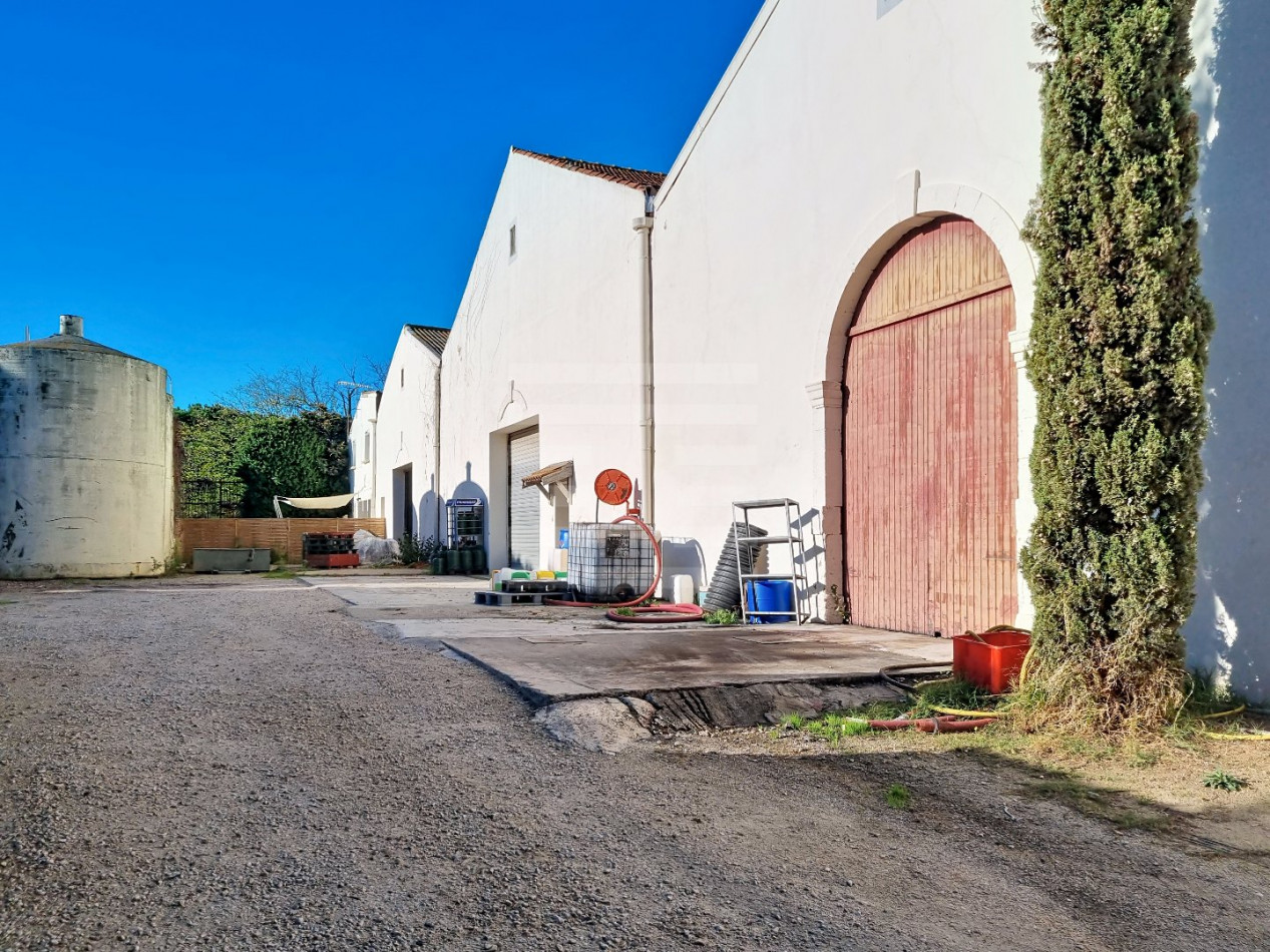 à vendre Propriété viticole Vendres - Photo 20