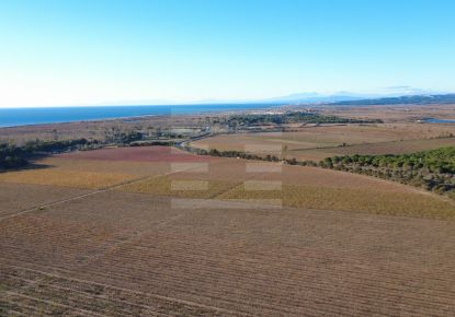 vente Propriété viticole Vendres