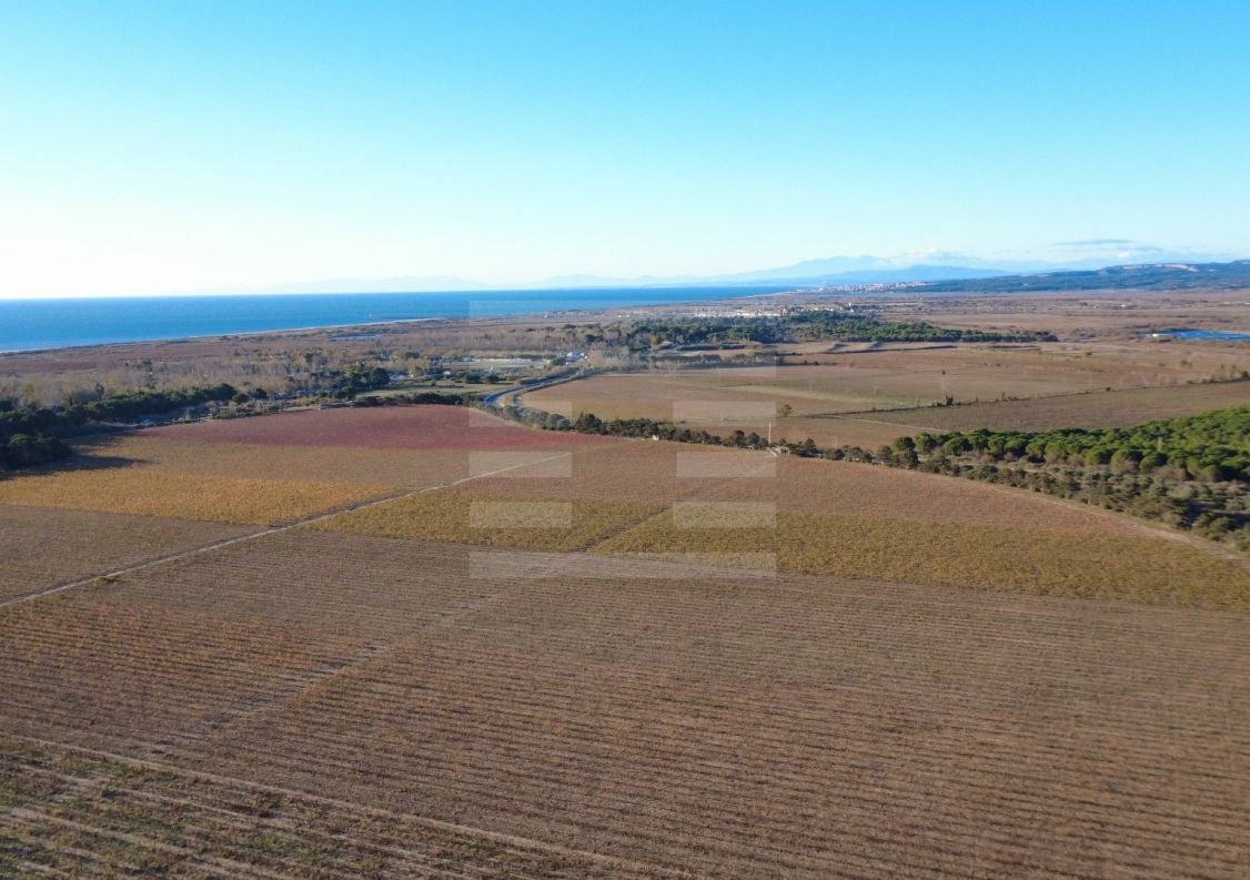 à vendre Propriété viticole Vendres