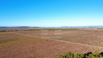 à vendre Propriété viticole Vendres
