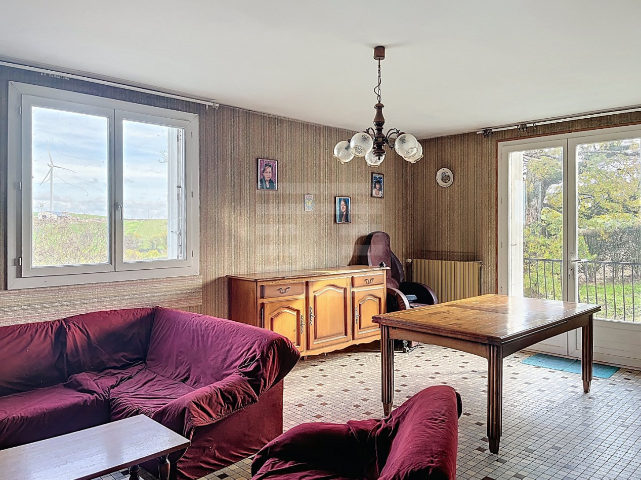 à vendre Ovins / caprins Courris - Photo 17