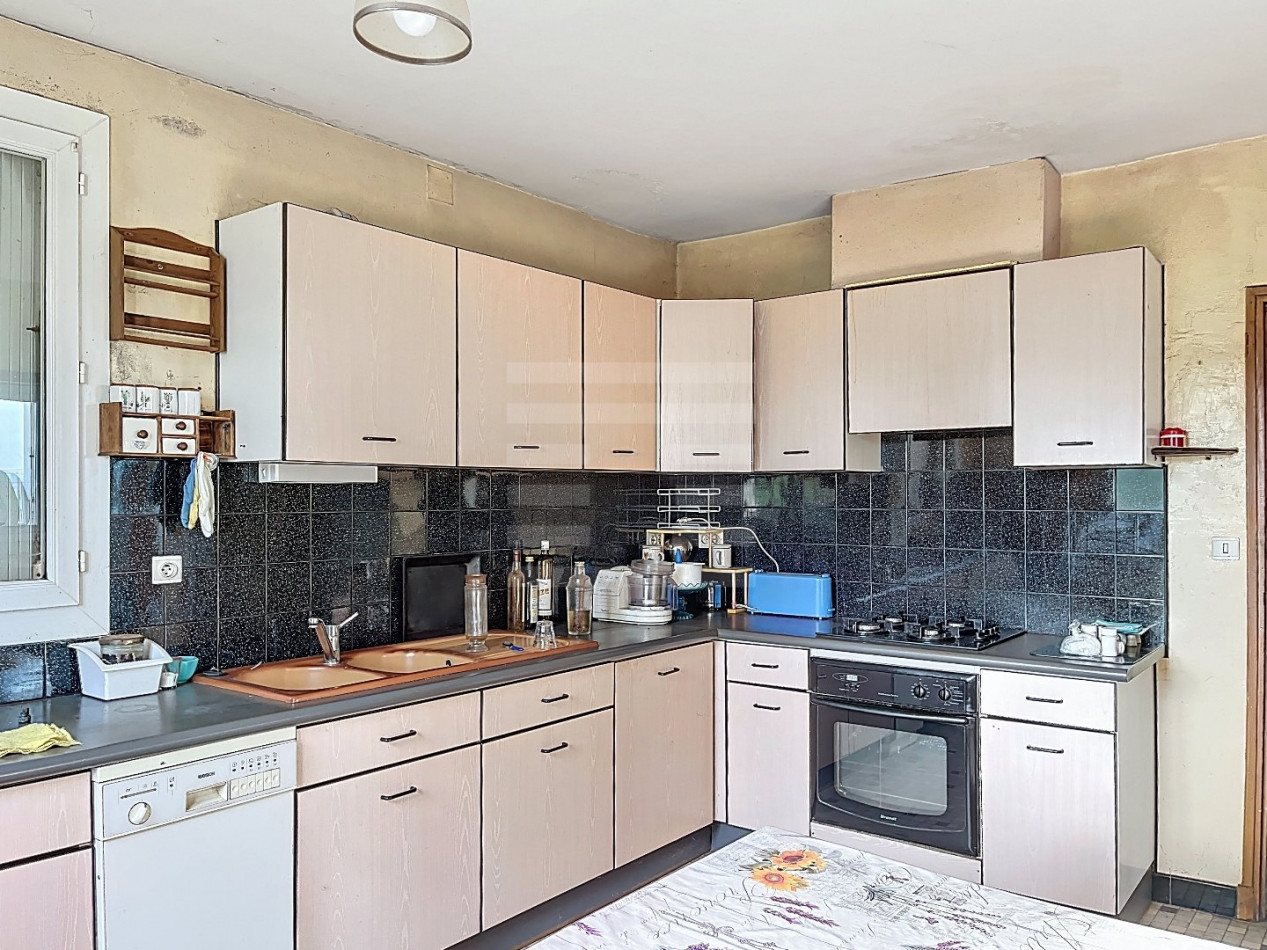 à vendre Ovins / caprins Courris - Photo 18