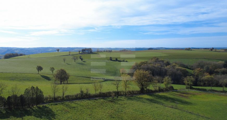 vente Ovins / caprins Courris