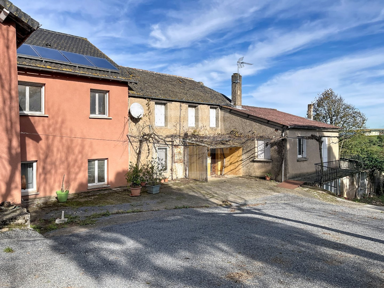 à vendre Ovins / caprins Courris - Photo 16