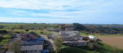 vente Ovins / caprins Courris