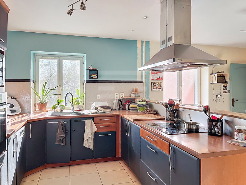 vente Ovins / caprins Courris - Photo 6