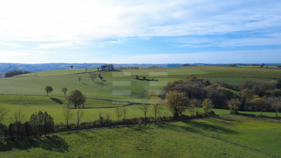 vente Ovins / caprins Courris - Photo 8