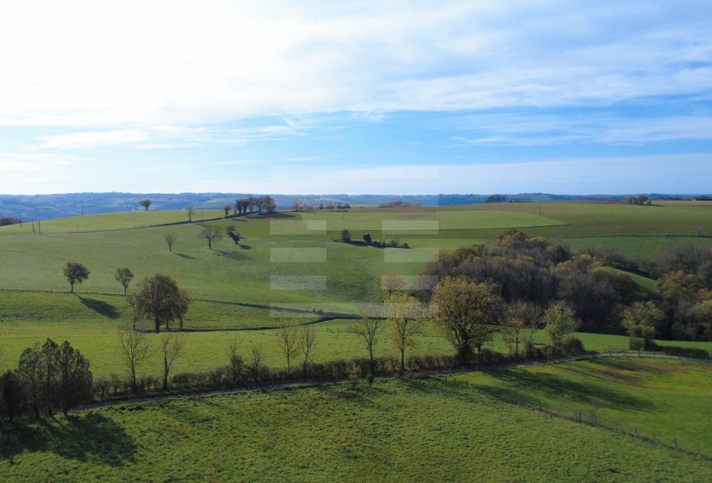 vente Ovins / caprins Courris - Photo 8