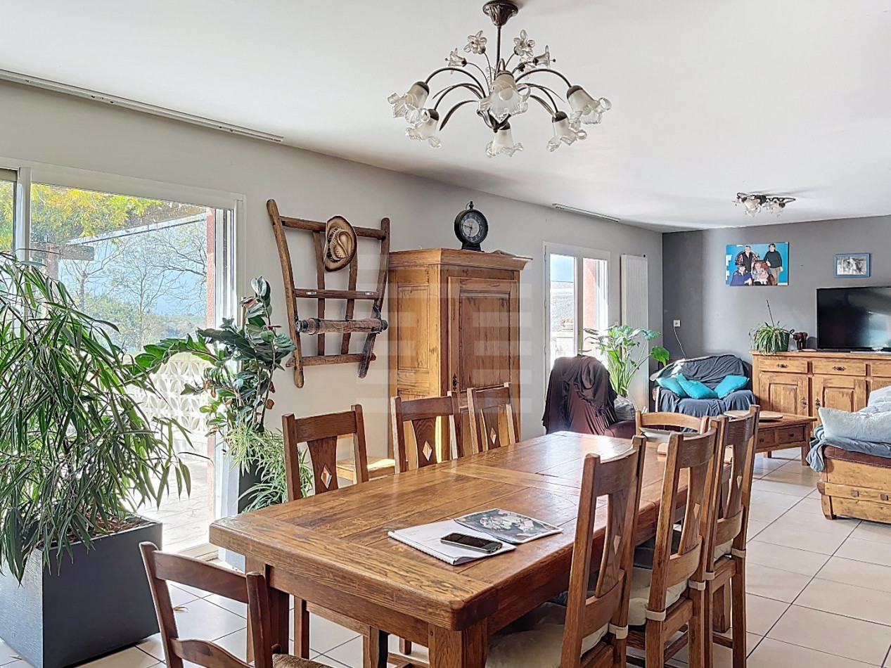 à vendre Ovins / caprins Courris - Photo 11