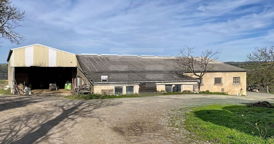 vente Ovins / caprins Courris