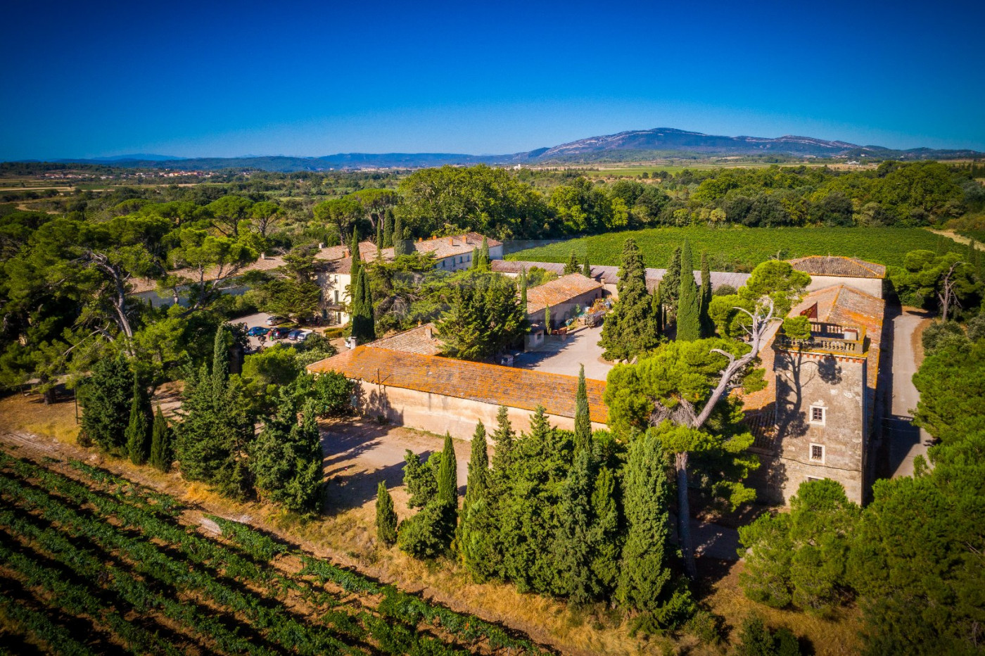 à vendre Propriété viticole Lezignan Corbieres - Photo 1