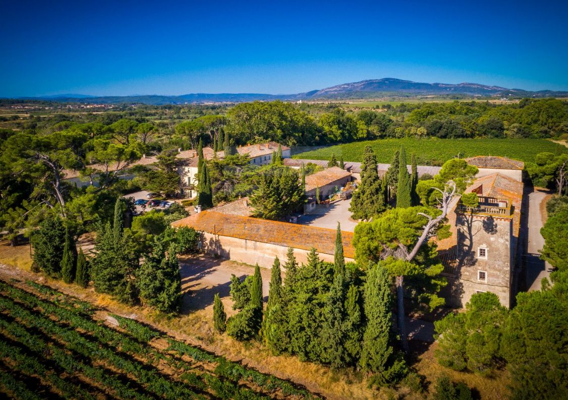 à vendre Propriété viticole Lezignan Corbieres
