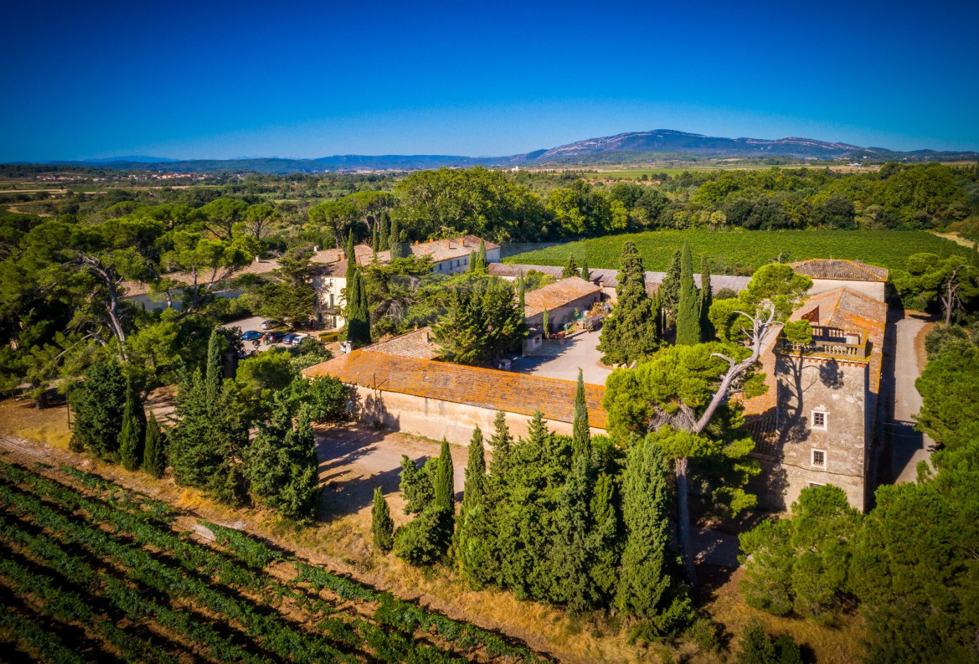 vente Propriété viticole Lezignan Corbieres - Photo 1