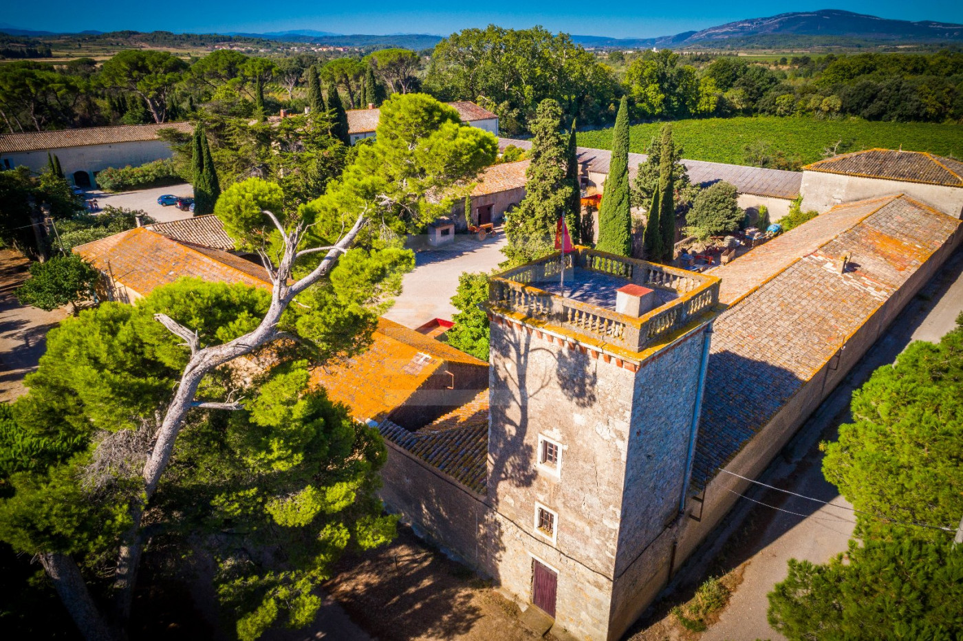 à vendre Propriété viticole Lezignan Corbieres - Photo 17