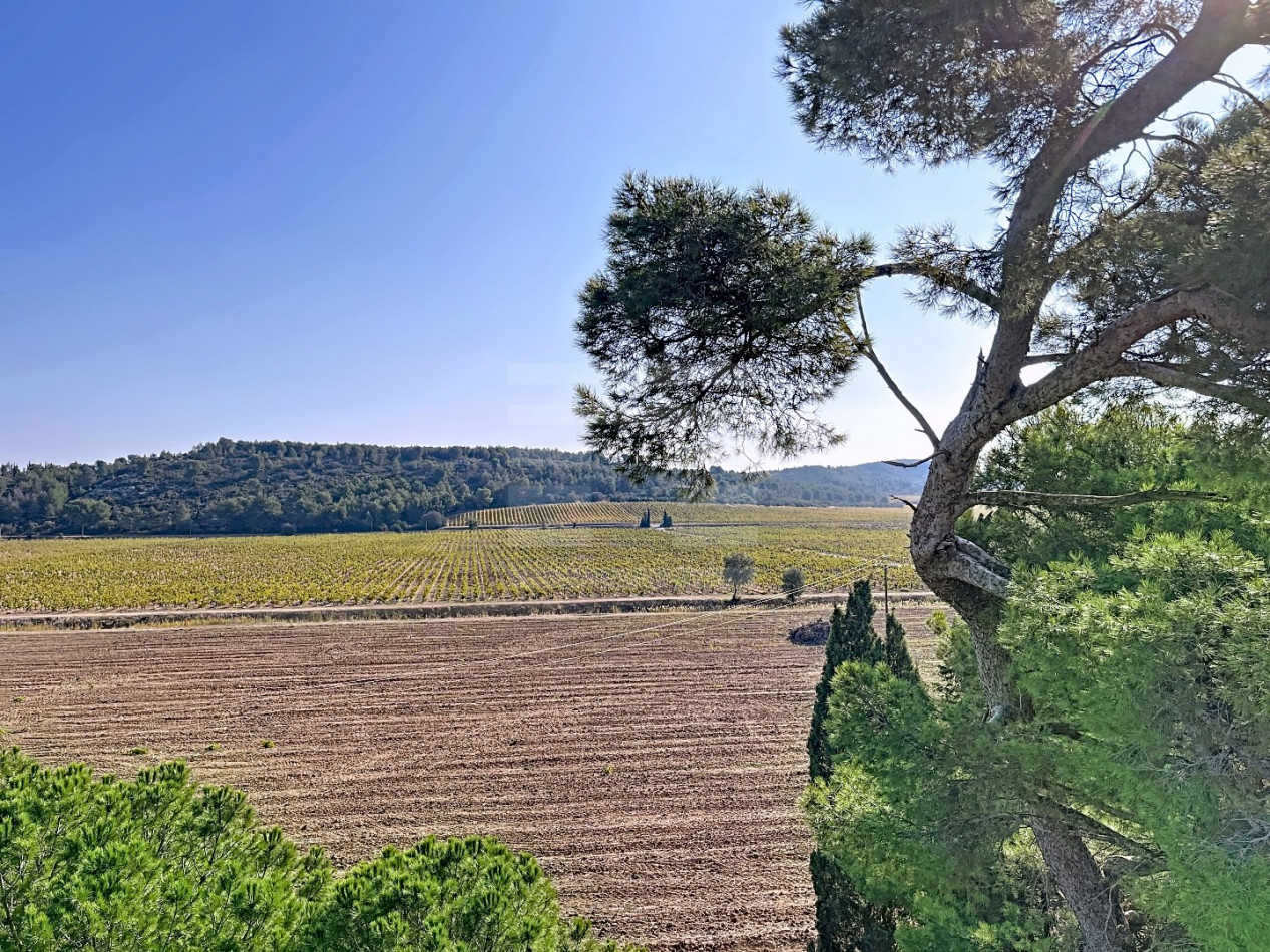 à vendre Propriété viticole Lezignan Corbieres - Photo 12