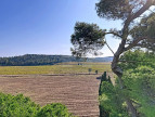 à vendre Propriété viticole Lezignan Corbieres