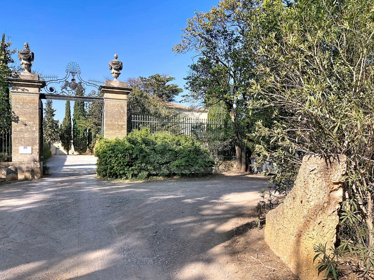 à vendre Propriété viticole Lezignan Corbieres - Photo 2