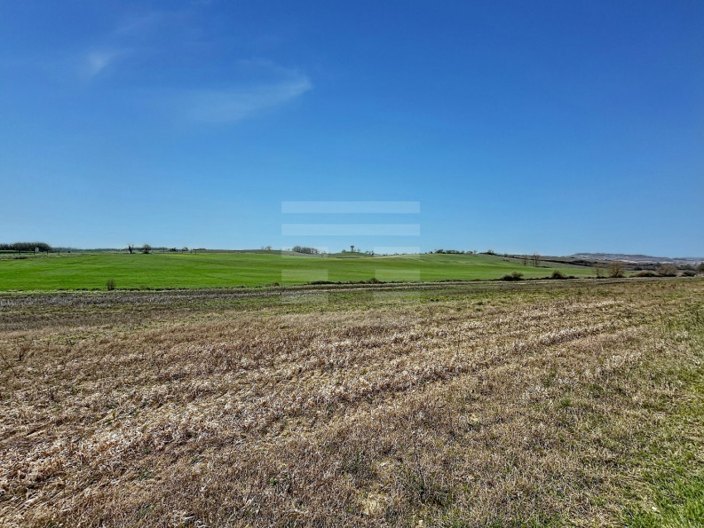 vente Terrain agricole Orsans - Photo 1
