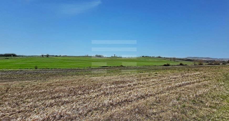 vente Terrain agricole Orsans