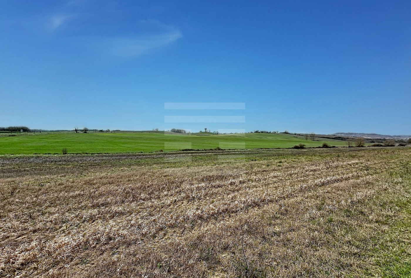 vente Terrain agricole Orsans - Photo 1