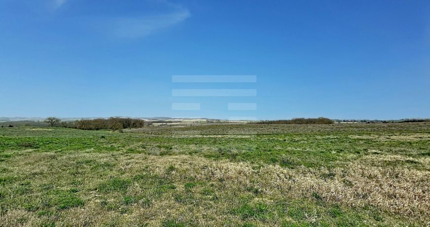 vente Terrain agricole Orsans