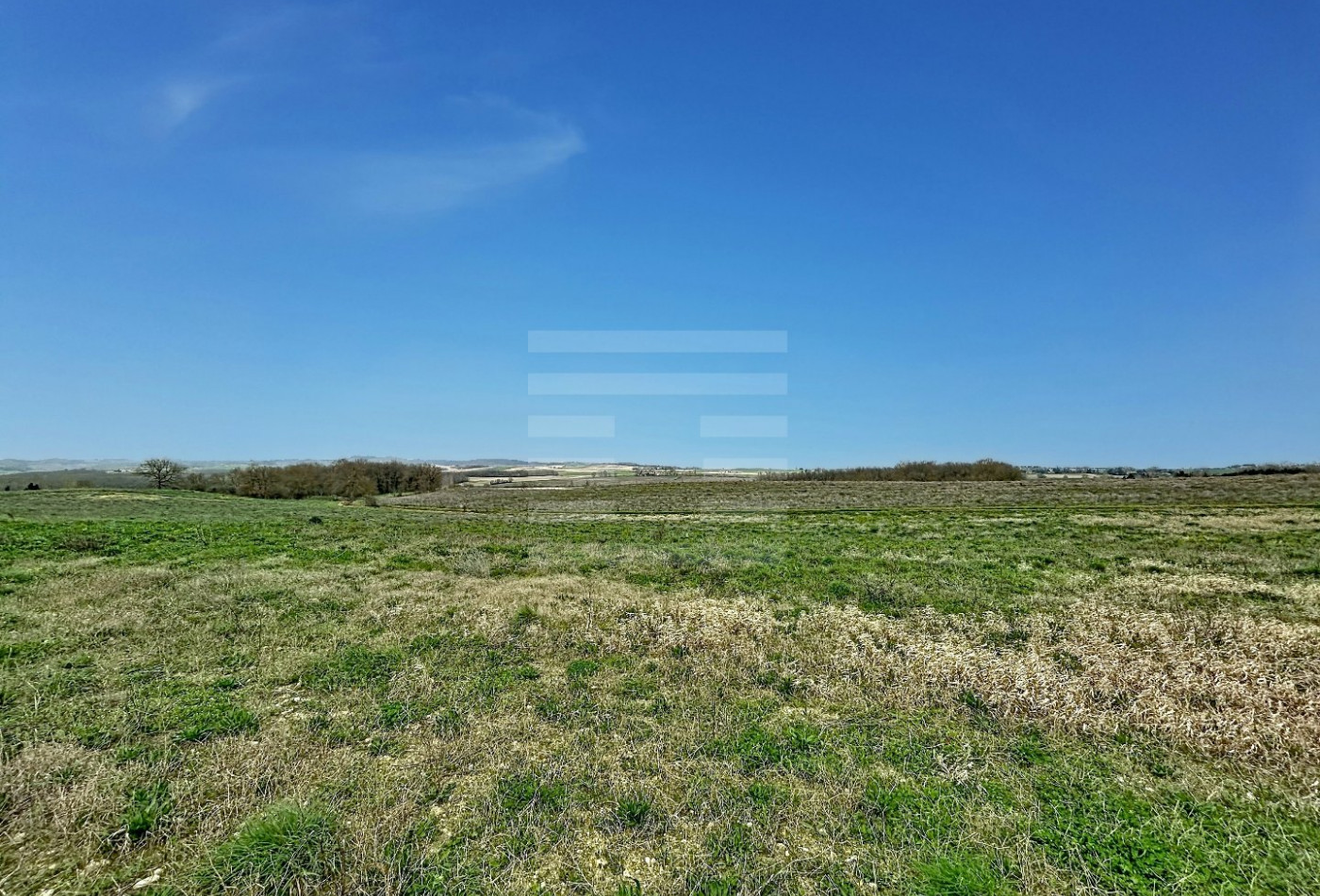 vente Terrain agricole Orsans - Photo 3