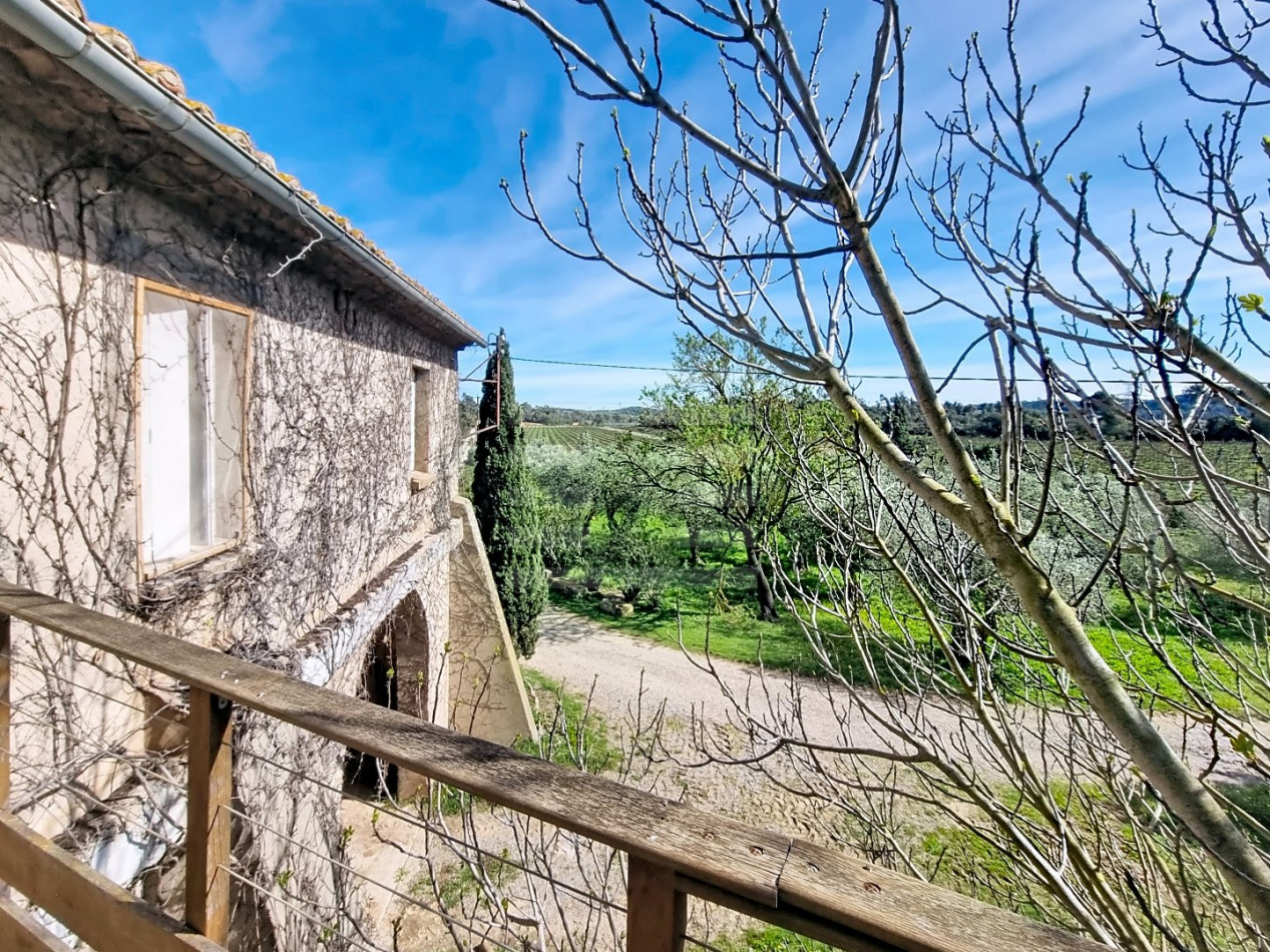 à vendre Propriété viticole Tourouzelle - Photo 6