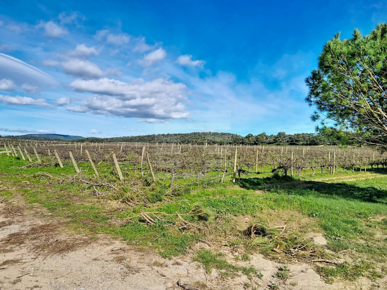à vendre Propriété viticole Tourouzelle - Photo 3