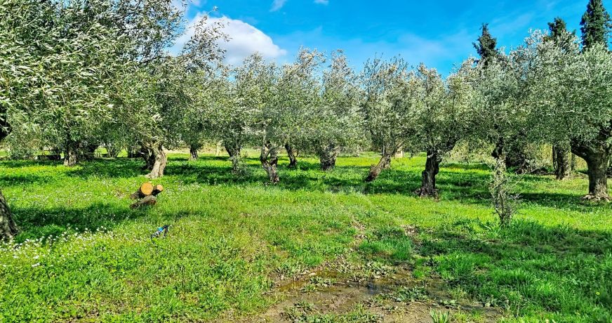 vente Propriété viticole Tourouzelle