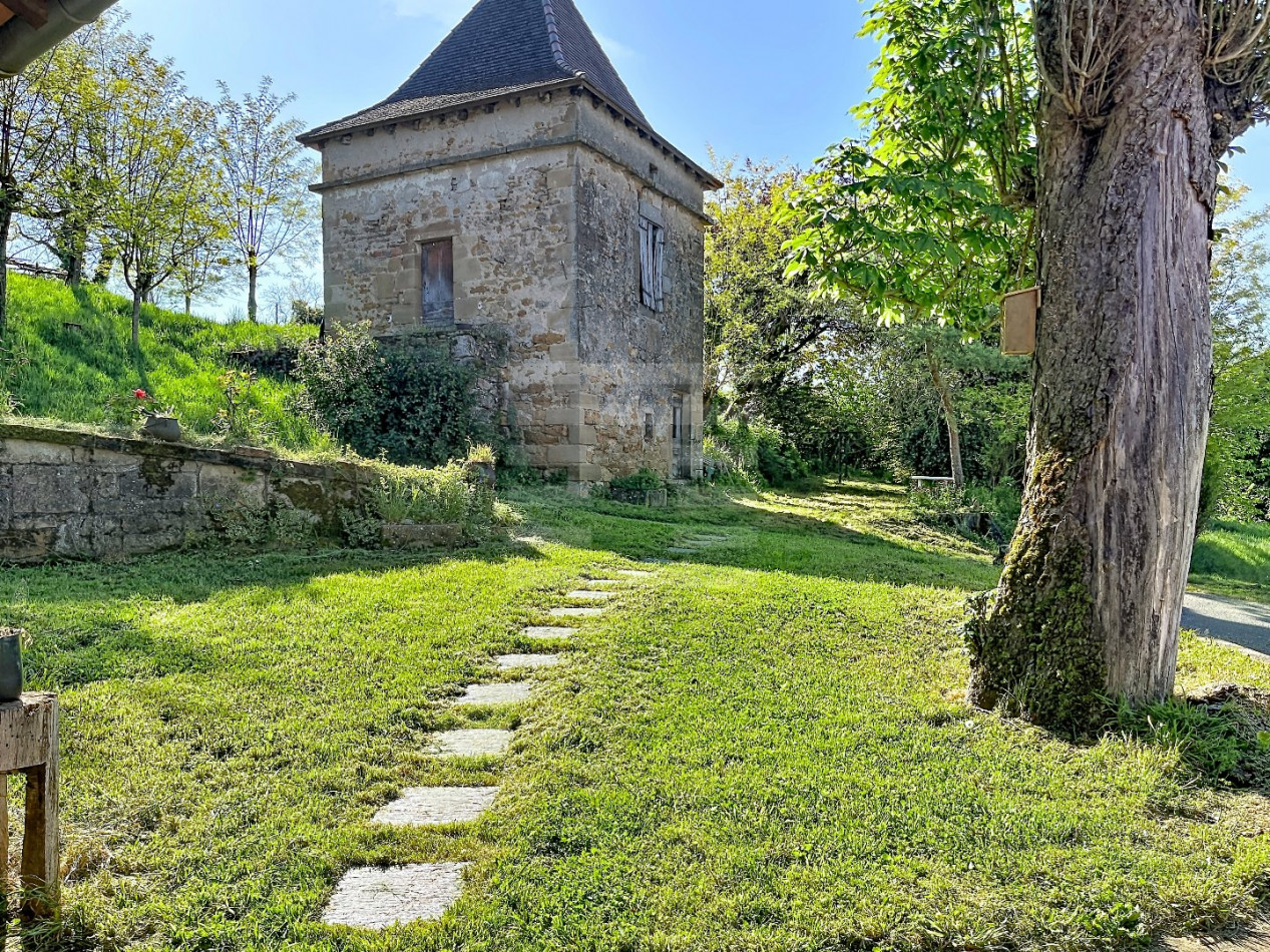 à vendre Bovine Figeac - Photo 2