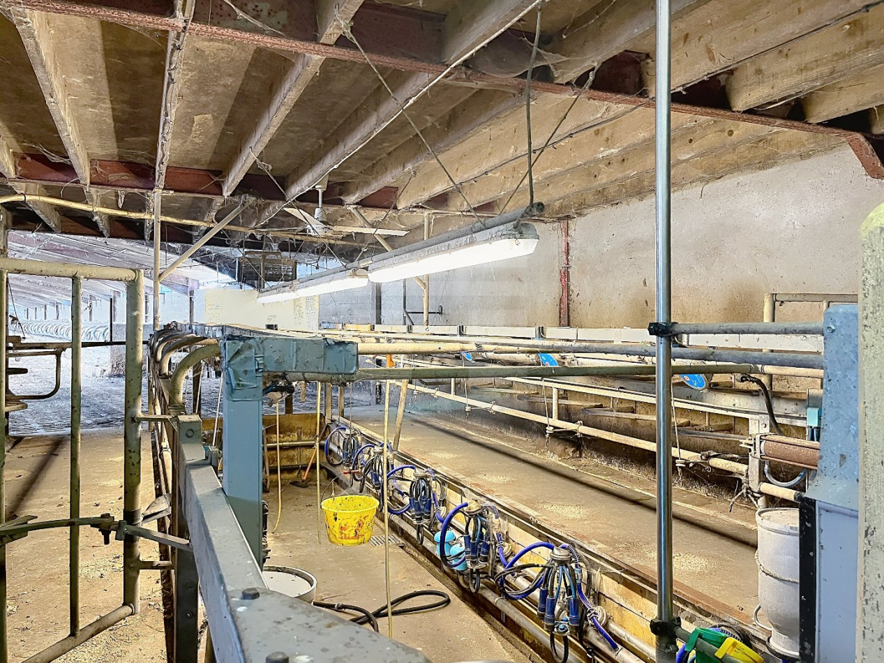 à vendre Bovine Figeac - Photo 11