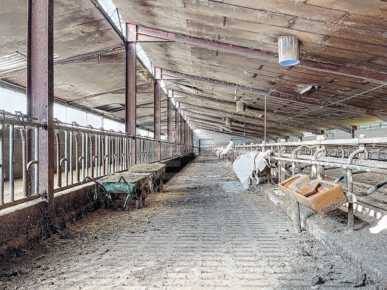 à vendre Bovine Figeac - Photo 10