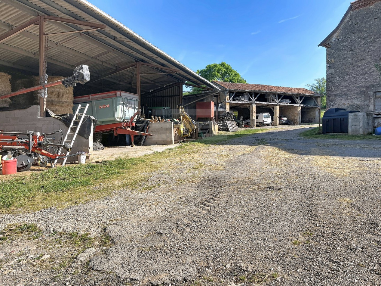 à vendre Bovine Figeac - Photo 12