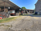 à vendre Bovine Figeac