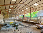 à vendre Bovine Figeac