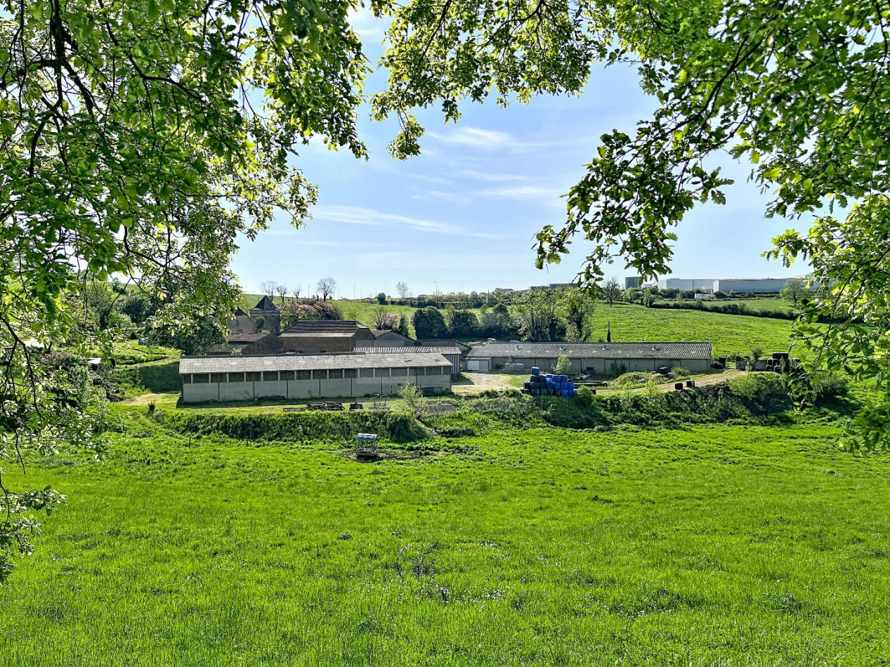 à vendre Bovine Figeac - Photo 16