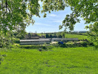 à vendre Bovine Figeac