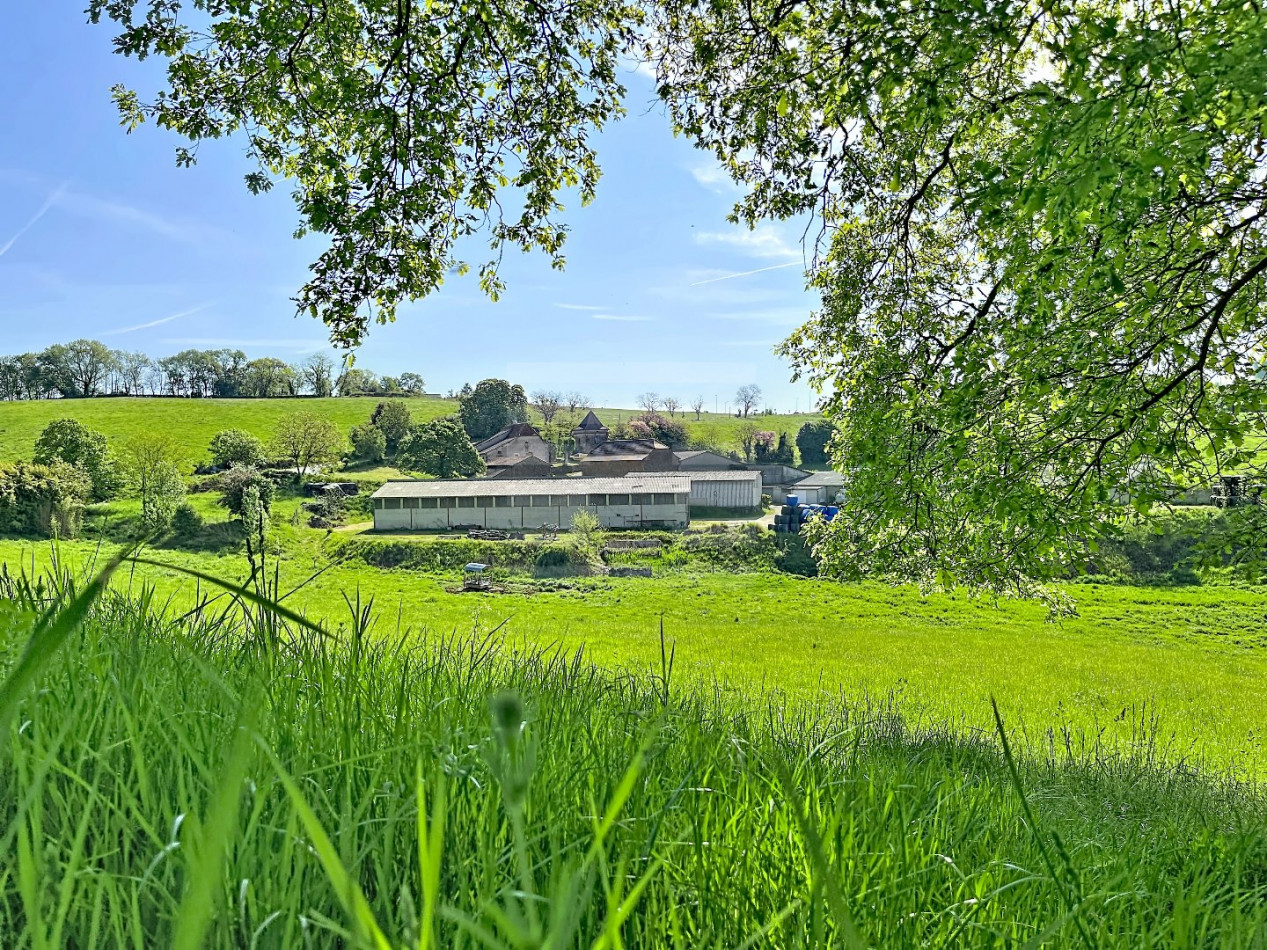 à vendre Bovine Figeac - Photo 1