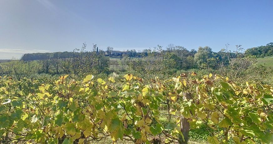 vente Propriété agricole Gaillac